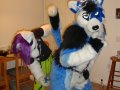 1262403424.littlebluewolfleo_dsc03490.jpg